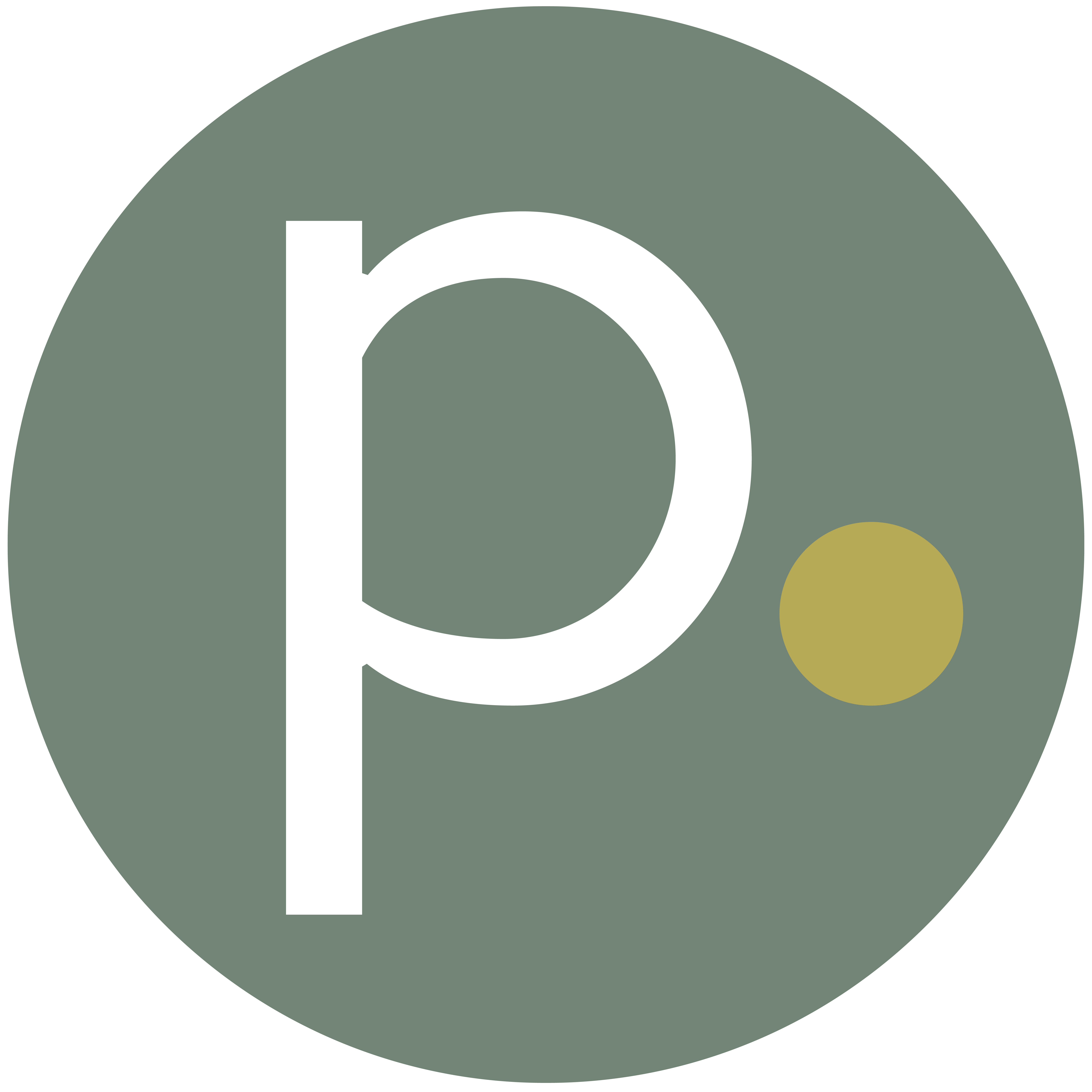 Polsan icon a rgb